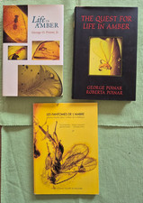3 Bernstein Fantomes de l'ambre  Neuchatel 1992, Poinar Life  Amber, Quest for..