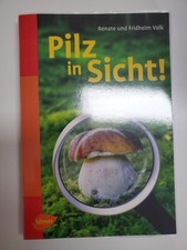Pilz in Sicht Die 20 besten