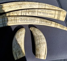 Replika Walross und Pottwal