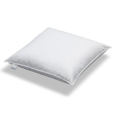 Daunen + Federn Kissen