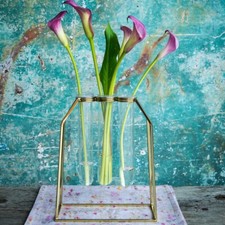 Culinary Concepts dreifach