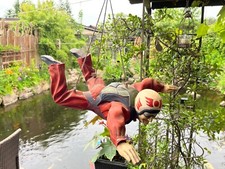 FALLSCHIRMSPRINGER VON JUN ASILO