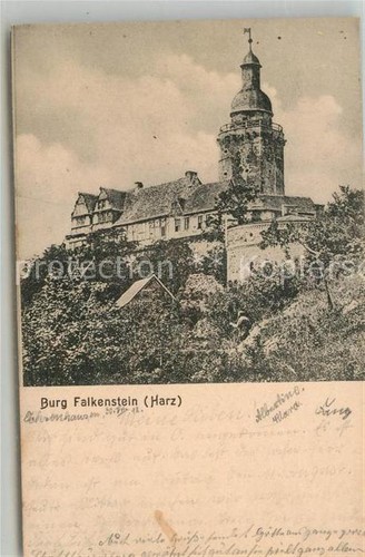 Harz region burg falkenstein - harz,