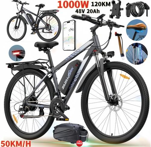 1000w bike 29zoll - e-bike,