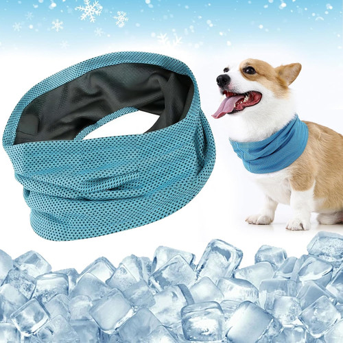 Kühlhalsband für hunde - für,