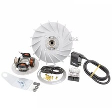 Zündung PINASCO Flytech Vespa