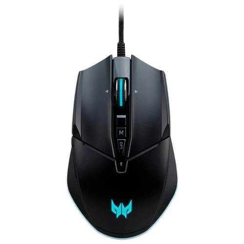 Acer predator cestus - predator,