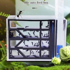 ANT Farm Workshop Transparentes ANT-Nest Für Wissenschaftliche Beobachtung,