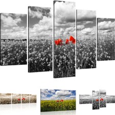 Bilder Mohnblume auf einer Wiese Wandbilder auf Leinwand Landschaft Leinwandbild