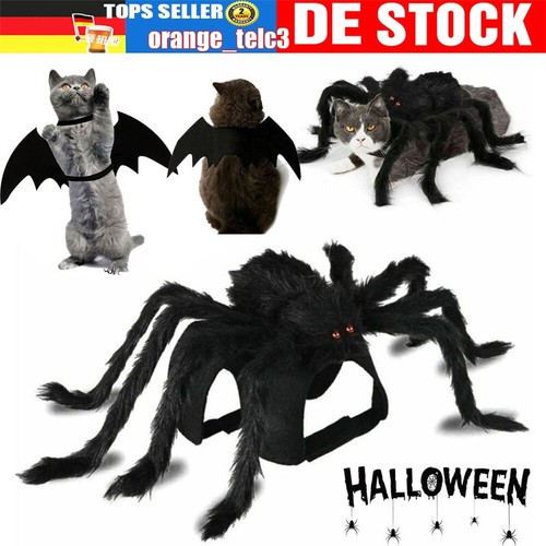 Tier haustier hund katze - haustier,