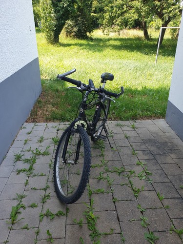 Focus gang fahrrad schwarz - focus,