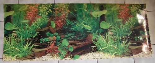Aquarium - ,