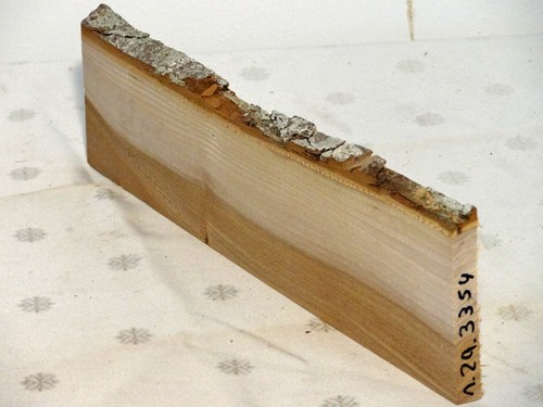 Ulme rüster holz - ulme,