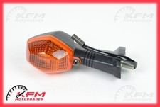 Suzuki V-Strom DL 1000 Blinker