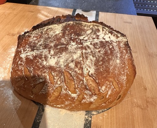 Sauerteig starter getrocknet - sauerteig,