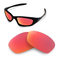 newpolar Polarisierte