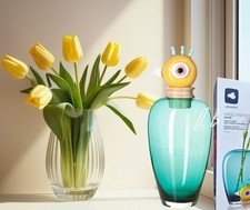 Leonardo papageno glas vase - leonardo,