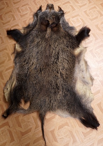 Schönes wildschweinfell wild - schönes,