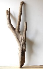 Treibholz Schwemmholz