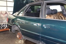 TÜR Hinten Rechts ( Limousine