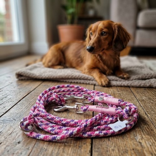 Hundeleine für kleine hunde - hunde, 2