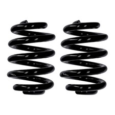 Fahrwerksfedern-Set hinten Ø