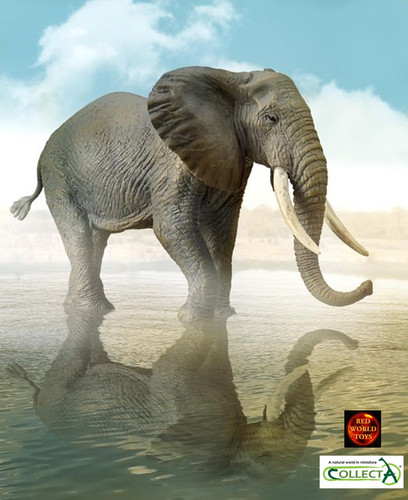 Afrikanischer busch elefant - afrikanischer,
