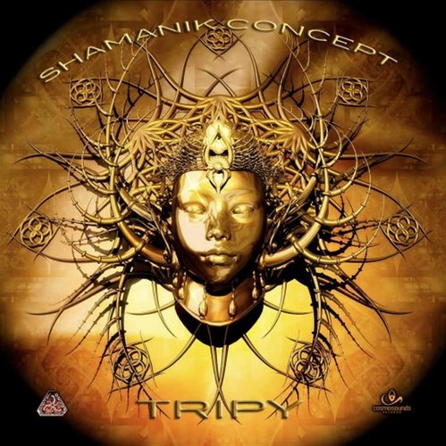 Shamanik concept tripy - concept,