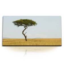 120x80cm kunstdruck bilder - 120x80cm,