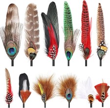 12Pcs Hat Feathers Assorted