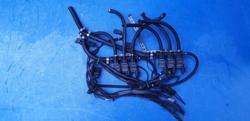 Tartarini evo zyl - 07,