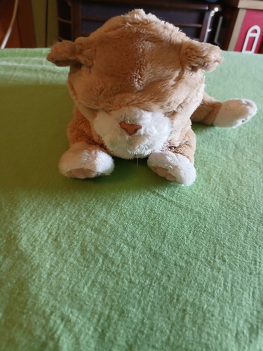 Hasbro 2003 furreal new born - hasbro,