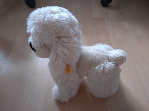 Steiff pudel 5445 - pudel, 5445/28