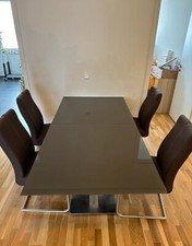 Esstisch & 4 Schwingstühle