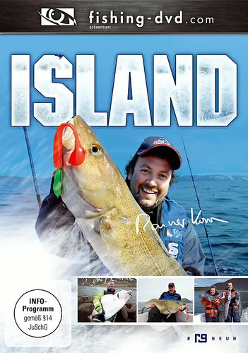 Island kutter und küste - island,
