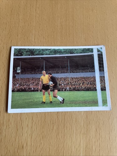 Bergmann 1966 20 - bergmann, 1966/67