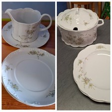 Rosenthal Classic Rose " Monbijou" grüne Ranke zur Auswahl