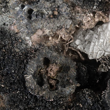 Silber, gediegen und Hämatit xx vom Schacht 296  Schlema Erzgebirge Sachsen