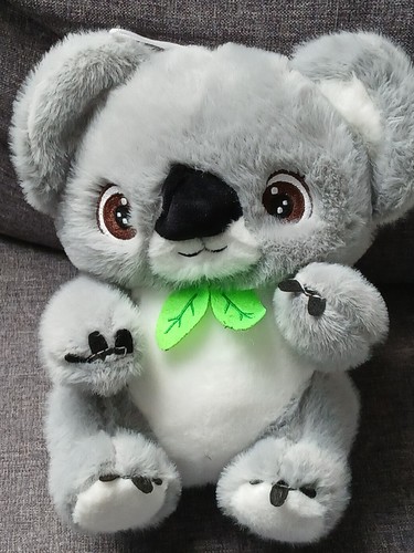 Koala plüschtier kuscheltier - koala,