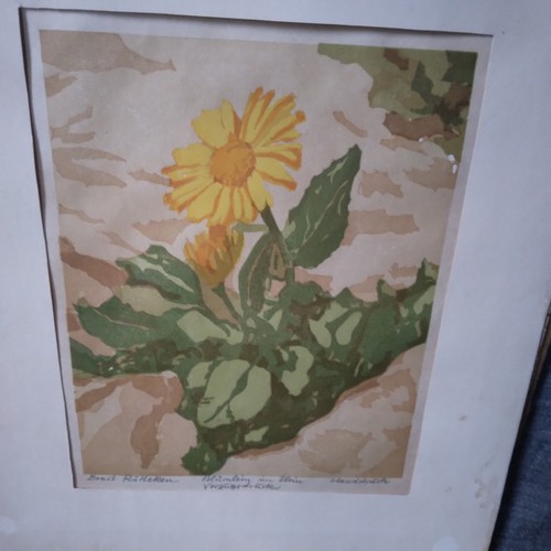 Ernst rötteken - -, 1945)