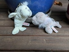 Nici Robben Schlüsselanhänger