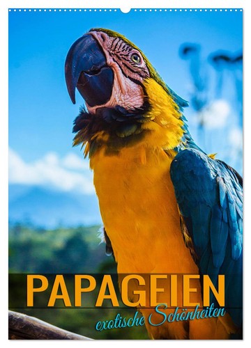 Papageien exotische - papageien,