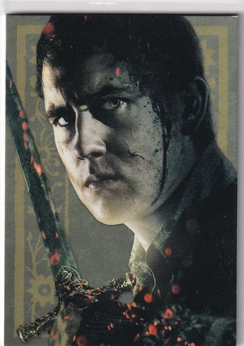 Panini harry potter evolution - panini,