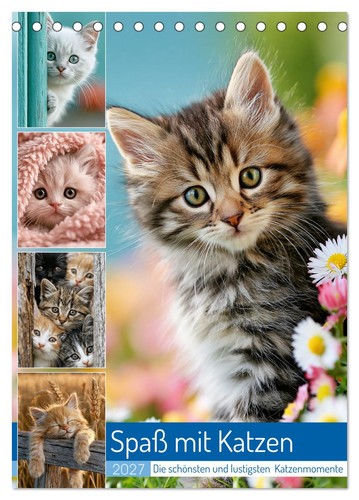 Spaß mit katzen - mit,