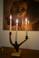 Kerzenständer in Rothirsch
