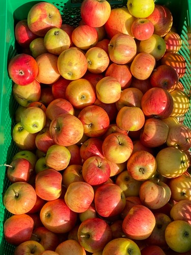 Ungespritzte gartenäpfel - 🍎,