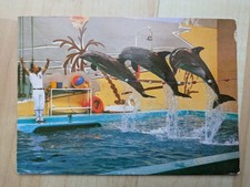 Postkarte Phantasialand Brühl Freizeitpark Delphinarium Delfine