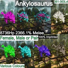 ASA🦖Ark Survival Ascended Pve Ankylosaurus / Ankylo Top Stats Solid