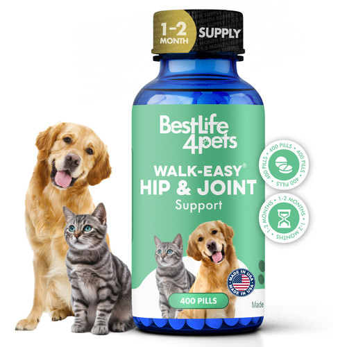 Walk easy cat dog - cat, &