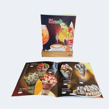 12 x robuste Eiskarte mit 16